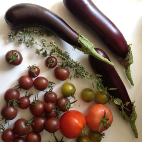 tomaten, aubergines en kruiden uit de moestuin